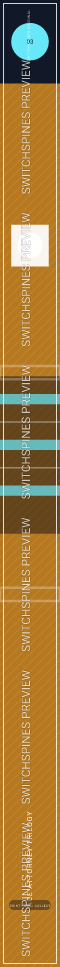 Ace Attorney Trilogy Design 3 watermarked Switch spine preview