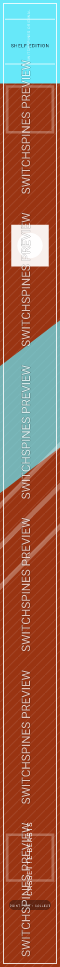 Cassette Beasts Design 2 watermarked Switch spine preview