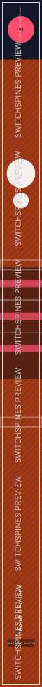 Chained Echoes Design 3 watermarked Switch spine preview