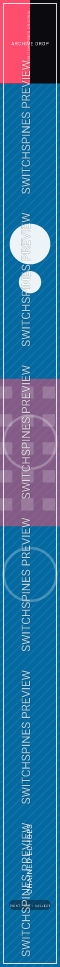 Chained Echoes Design 4 watermarked Switch spine preview