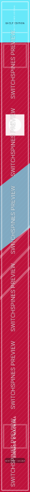 Daemon X Machina Design 2 watermarked Switch spine preview
