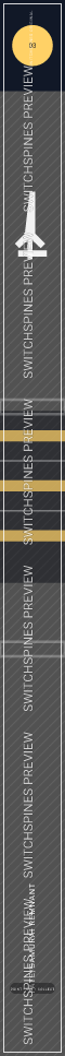 Fate/Samurai Remnant Design 3 watermarked Switch spine preview
