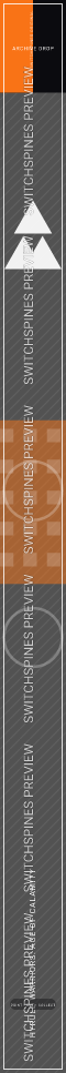 Hyrule Warriors: Age of Calamity Design 4 watermarked Switch spine preview