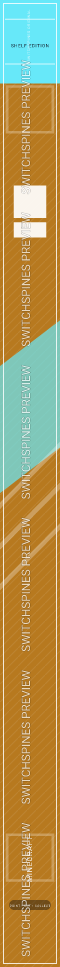Minecraft Design 2 watermarked Switch spine preview