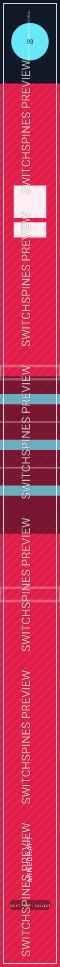 Minecraft Design 3 watermarked Switch spine preview