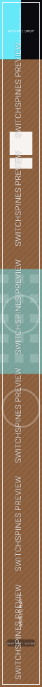 Minecraft Design 4 watermarked Switch spine preview