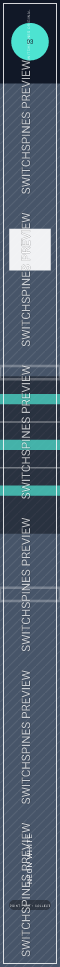 Neon White Design 3 watermarked Switch spine preview