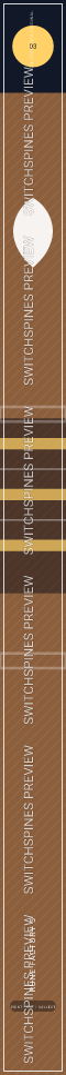 Rune Factory 5 Design 3 watermarked Switch spine preview