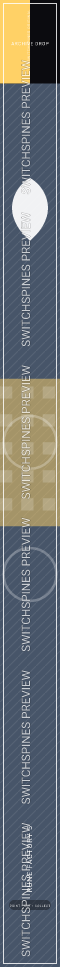 Rune Factory 5 Design 4 watermarked Switch spine preview