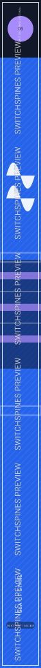 Sea of Stars Design 3 watermarked Switch spine preview