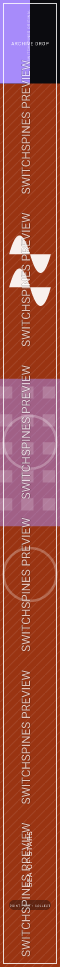 Sea of Stars Design 4 watermarked Switch spine preview