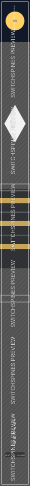 Spiritfarer Design 3 watermarked Switch spine preview