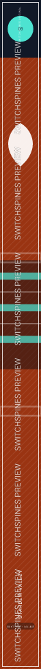 Stardew Valley Design 3 watermarked Switch spine preview