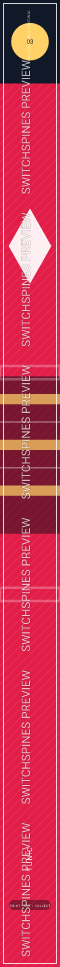 Tunic Design 3 watermarked Switch spine preview